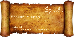 Szekér Antal névjegykártya